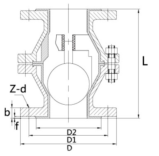 1襯氟升降式止（zhǐ）回閥（fá）H40F46(圖1)
