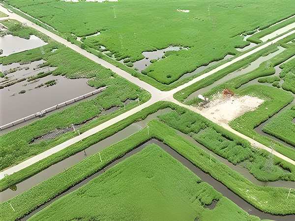 打造綠色低碳油田（tián） 做綠色（sè）發展的“頂梁柱”(圖（tú）1)